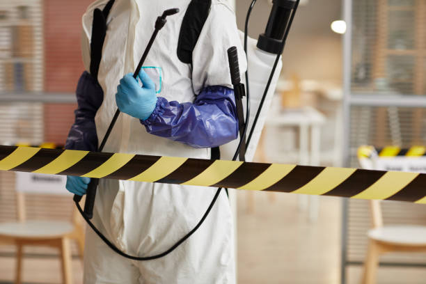 Professional Hoarding Cleanup technician working in Blessing, TX